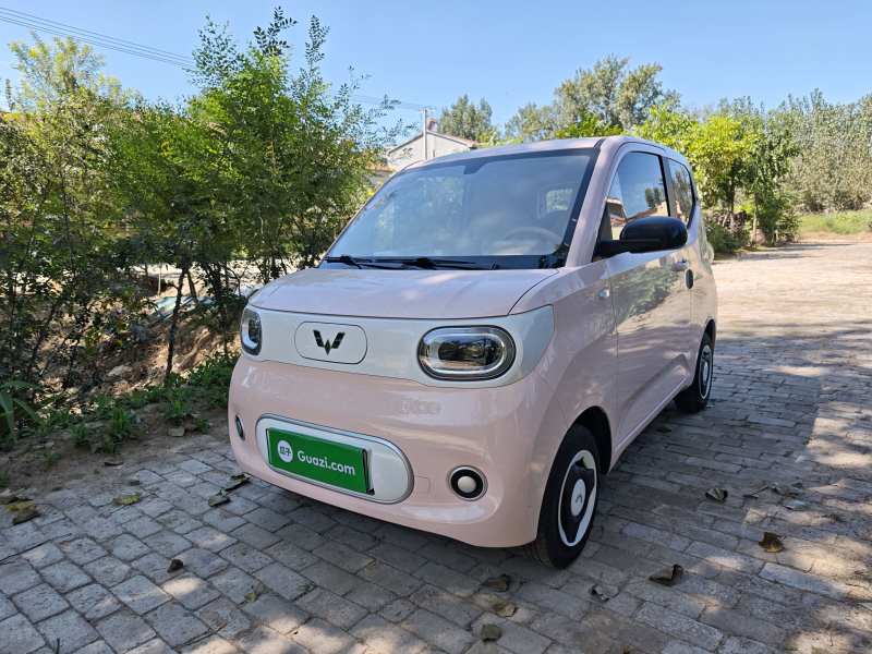 Used Wuling Hongguang MINIEV 2024 3rd Generation 215km Youth Edition — 1
