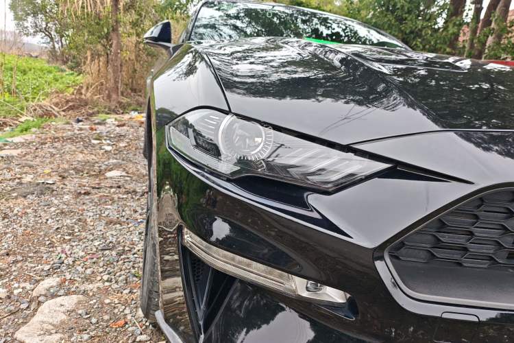 Used Ford Mustang 2019 2.3L EcoBoost