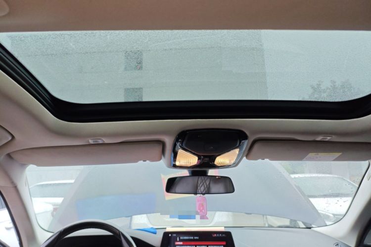 Used BMW 5 Series 2018 530Li Leading Model M Sport Package Headliner