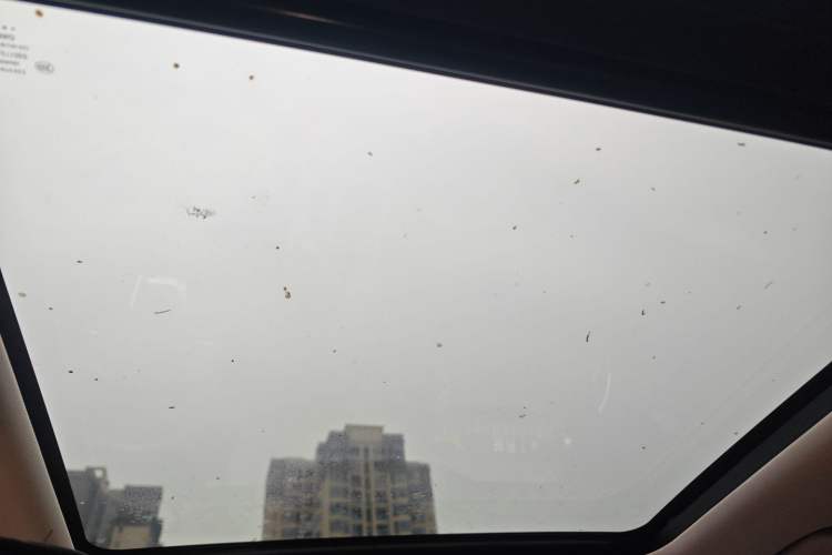 Used Haval DARGO 2024 1.5T DCT Border Collie Edition