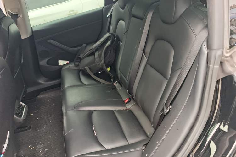 Used Tesla Model 3 2021 Standard Range Rear-Wheel Drive Upgraded Version 3D6
