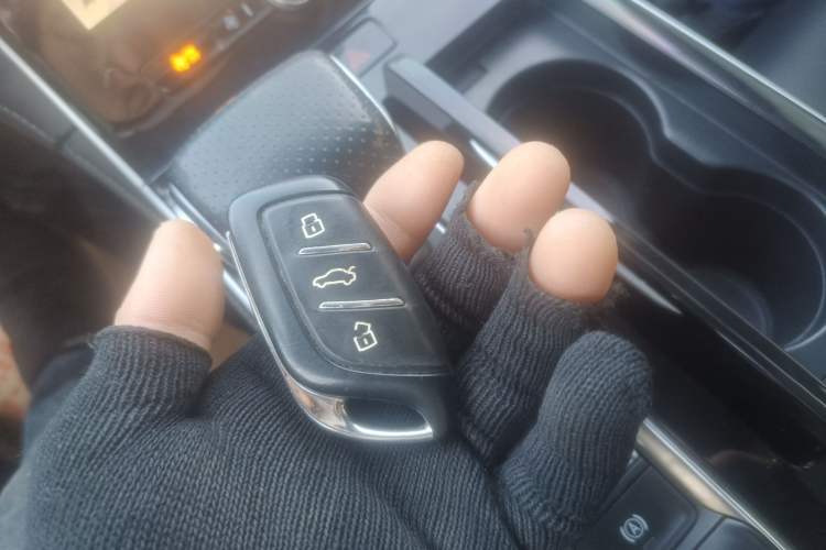 Used Rising ER6 2021 New Dynamic Edition 620km Smart Drive Version