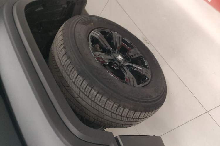 Used Tank 300 2024 2.0T Conqueror
