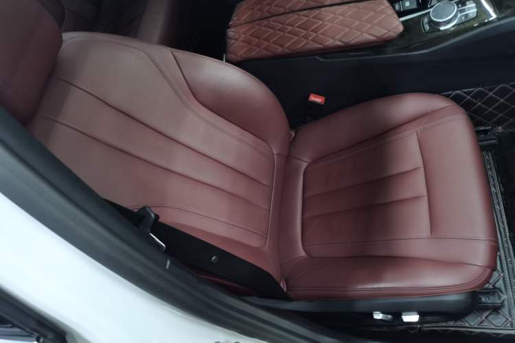 Used BMW 5 Series 2020 530Li Leading Model M Sport Package