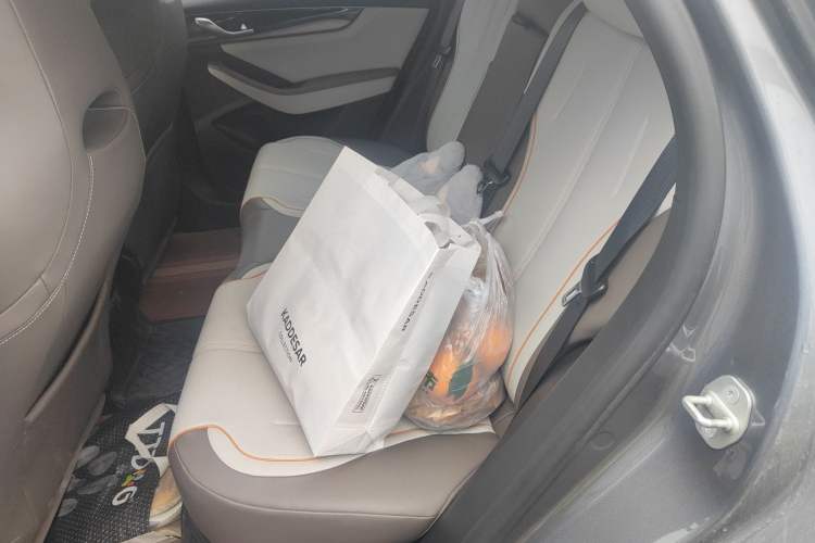 Used BYD Qin PLUS 2023 Champion Edition DM-i 120KM Beyond Model