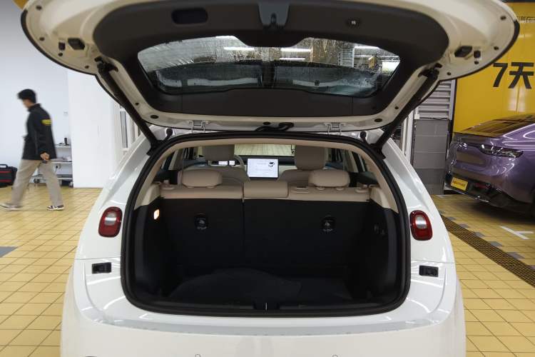 Used firefly 2025 Illuminated Edition
