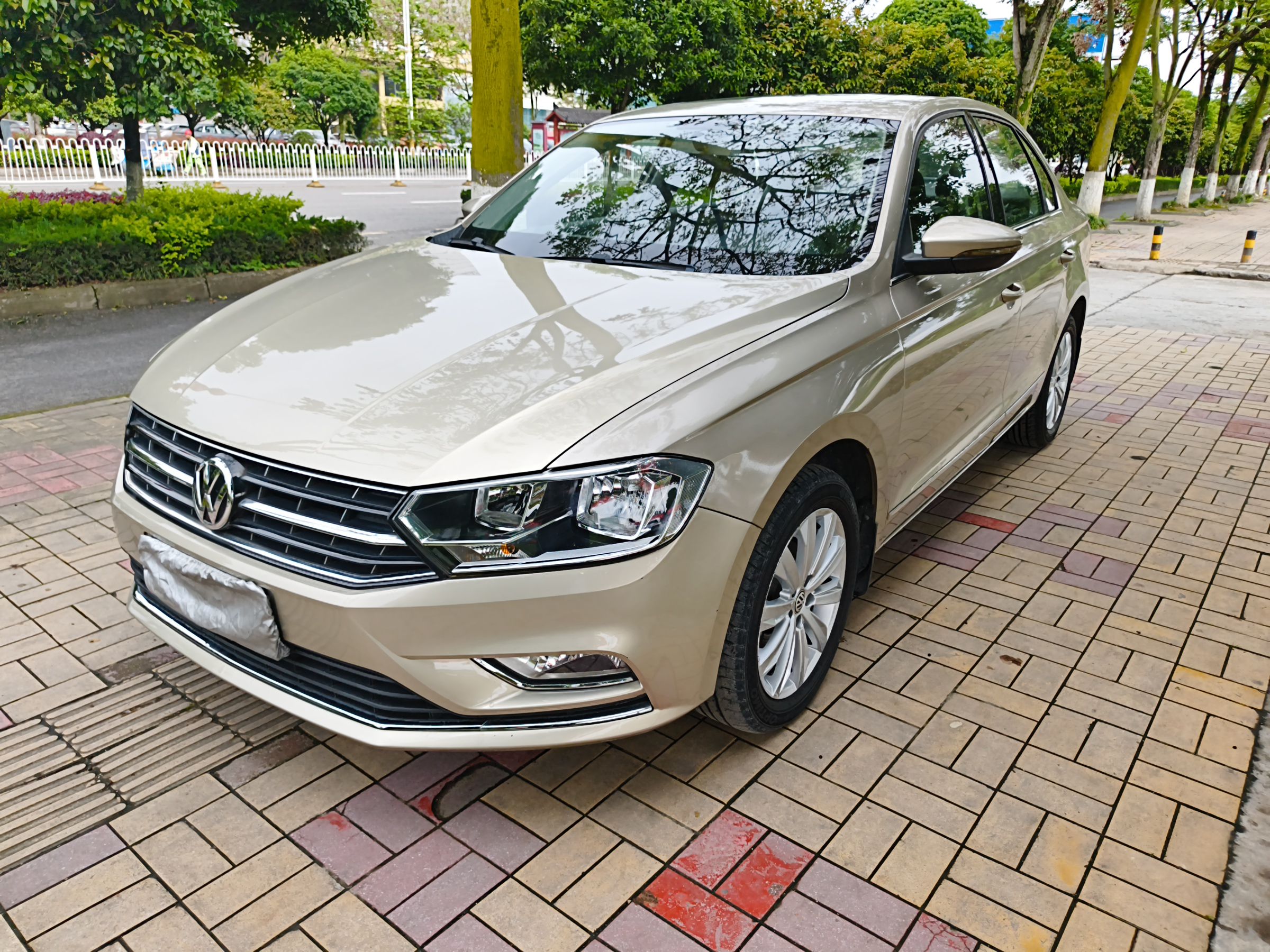 Parte inferior delantera