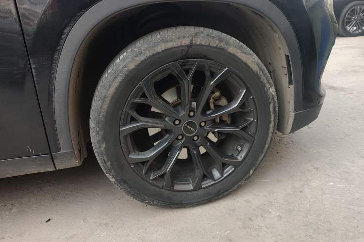 Used EXEED TX 2020 1.6T Two-Wheel Drive Star Edition