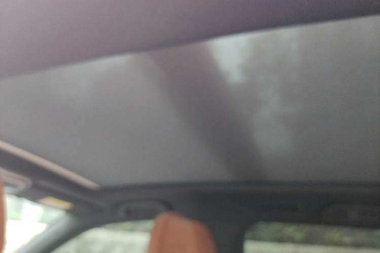 Used BYD Tang New Energy 2022 DM-i 252km Luxury Model Headliner