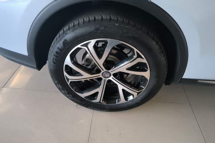 Used BYD Tang New Energy 2025 DM-i 115KM Prestige Model
