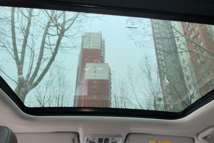 Used Wey P8 2018 2.0T Flagship Model
