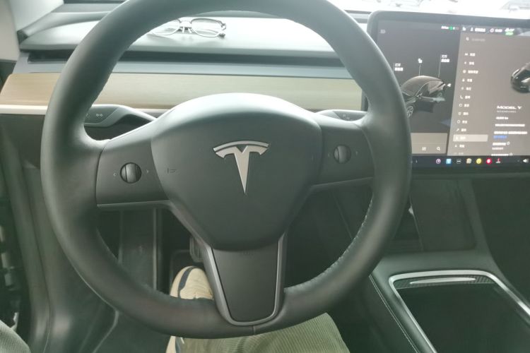 Used Tesla Model Y 2021 Standard Range Rear-Wheel Drive Version