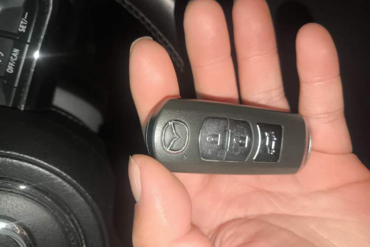 Used Mazda CX-8 2019 2.5L Four-Wheel Drive Deluxe Edition