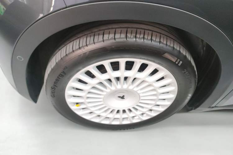 Used firefly 2025 Night Creature Special Edition
