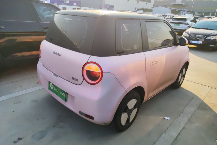 Used Qiyuan Lumin 2023 205km Xiangqin Version
