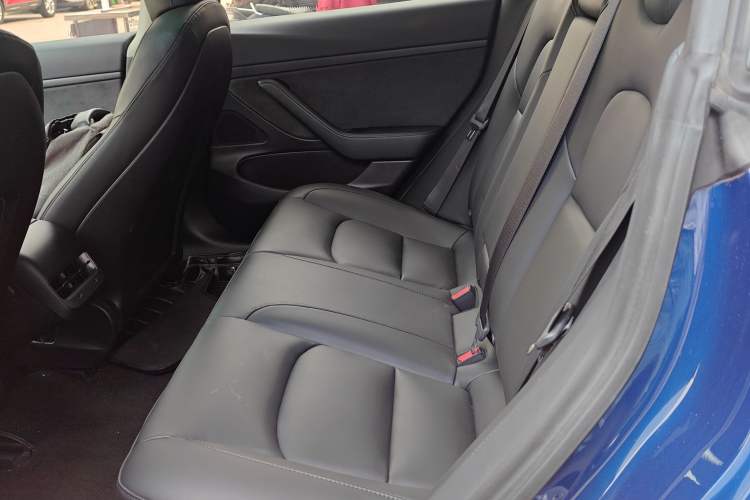 Used Tesla Model 3 2019 Standard Range Rear-Drive Upgraded Version Left Rear Seat