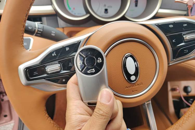 Used ORA Lightning Cat 2022 555 km Luxury Edition Vehicle Key