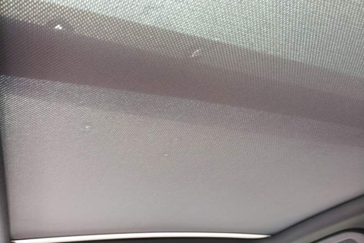 Used BYD Tang New Energy 2024 DM-p Champion Edition 215KM Four-Wheel Drive Deluxe Model Headliner