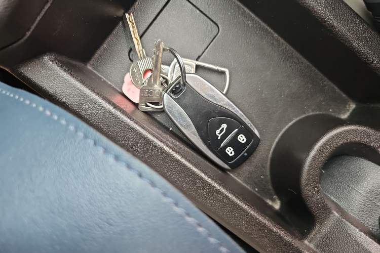 Used Dayun Yuehu 2023 230 Standard Edition
