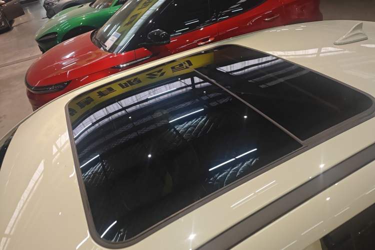 Used ORA Good Cat 2024 501 km Luxury Version Roof