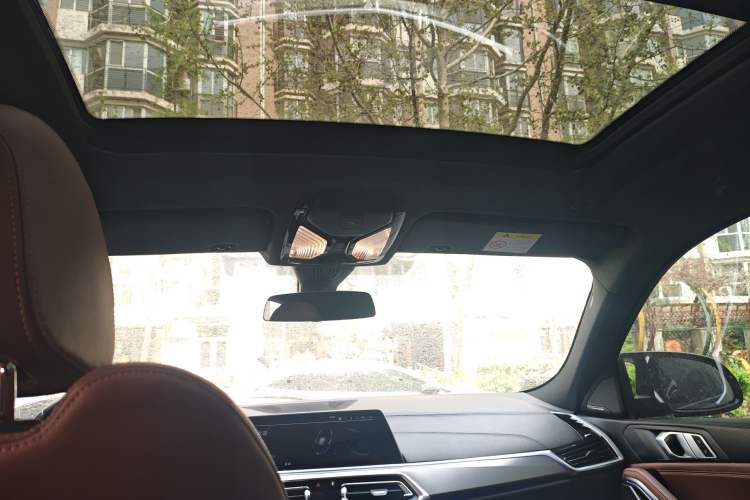 Used BMW X6 2020 xDrive30i M Sport Package Headliner