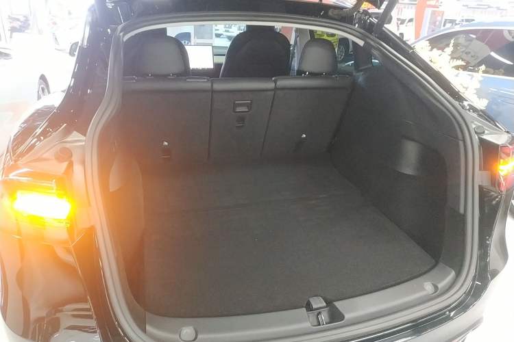 Used Tesla Model Y 2021 Standard Range Rear-Wheel Drive Version
