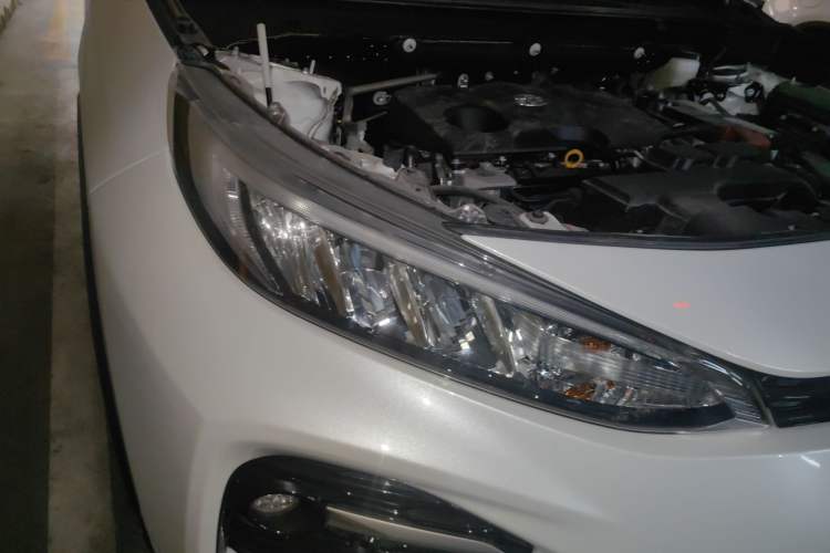 Used Toyota Wildlander 2021 2.0L CVT 4x4 Luxury Edition