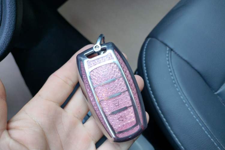 Used ORA Black Cat 2019 351 km Family Edition Vehicle Key