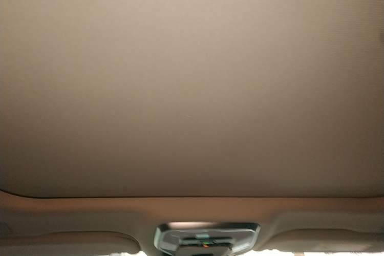 Used Hongqi H9 2020 2.0T Smart Connect Flagship Edition Headliner