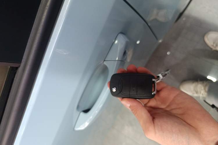 Used Wuling Hongguang MINIEV 2020 Enjoyment Model Lithium Iron Phosphate