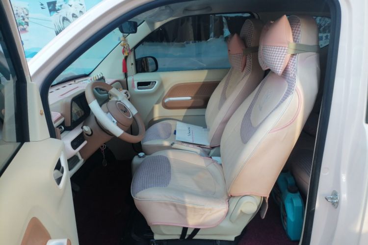 Used Wuling Hongguang MINIEV 2024 3rd Generation 215km Youth Edition Left Front Seat