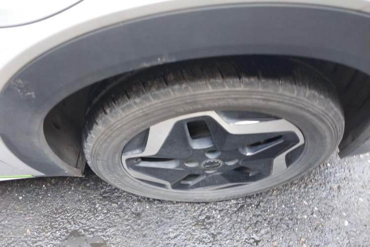 Used BYD Dolphin 2021 405 km Free Version