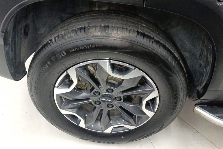 Used Haval DARGO 2024 2.0T DCT Chinese Rural Dog Edition
