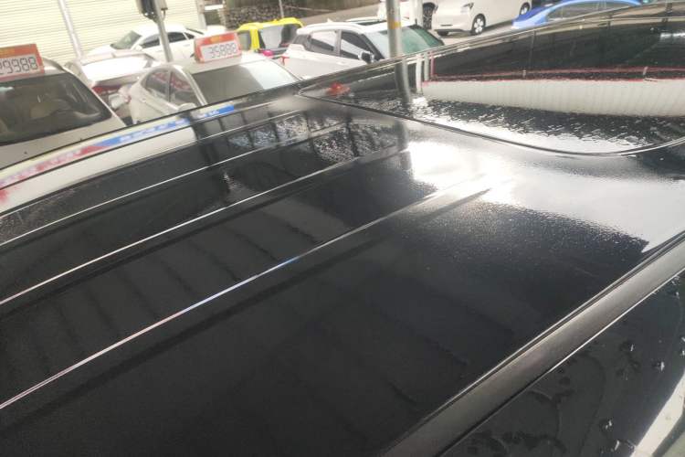 Used Hongqi HQ9 2023 2.0T Smart Connect Flagship Edition