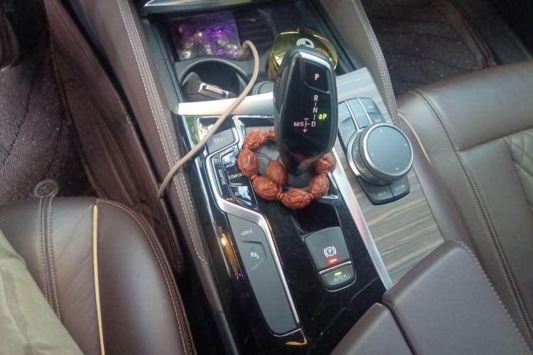 Used BMW 5 Series New Energy 2019 530Le Luxury Package