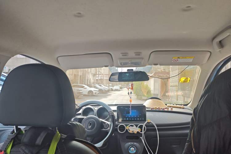 Used ORA Black Cat 2019 351 km Family Edition Headliner