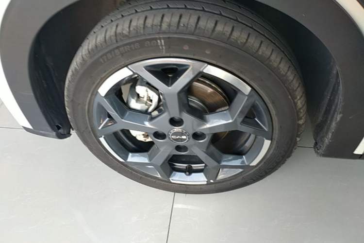Used BYD Seagull 2025 305 km Free Version
