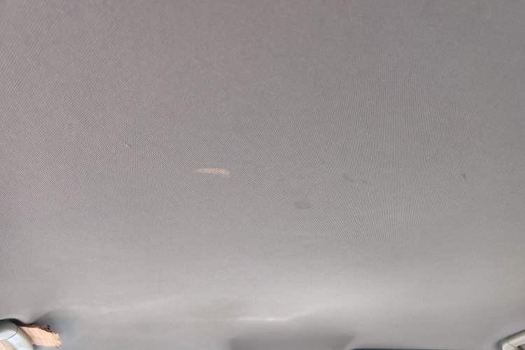 Used Huanghai Qisheng V3 2011 2.0L Ultra-Luxury Version Headliner