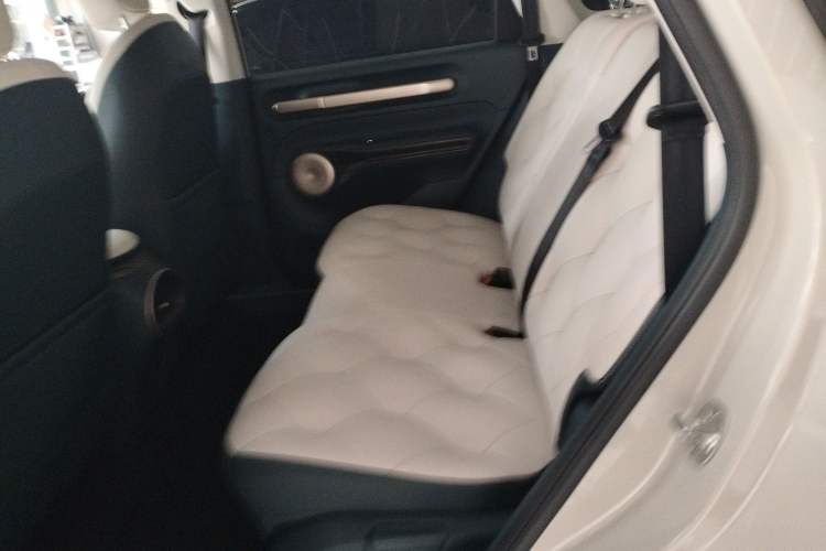 Used Baojun Cloud 2023 460 Pro Left Rear Seat