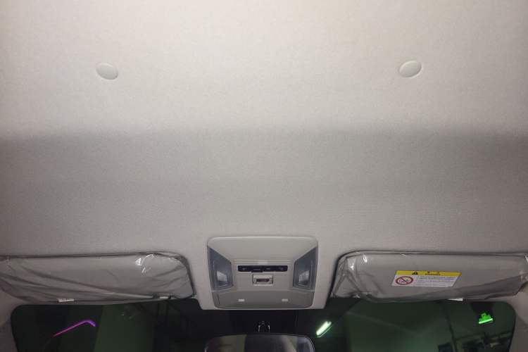 Used Toyota Wildlander 2024 2.0L CVT Two-Wheel Drive Leading Edition Headliner