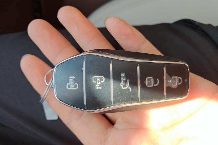 Used BYD Xia 2025 DM-i 1.5T 180km Beyond Edition