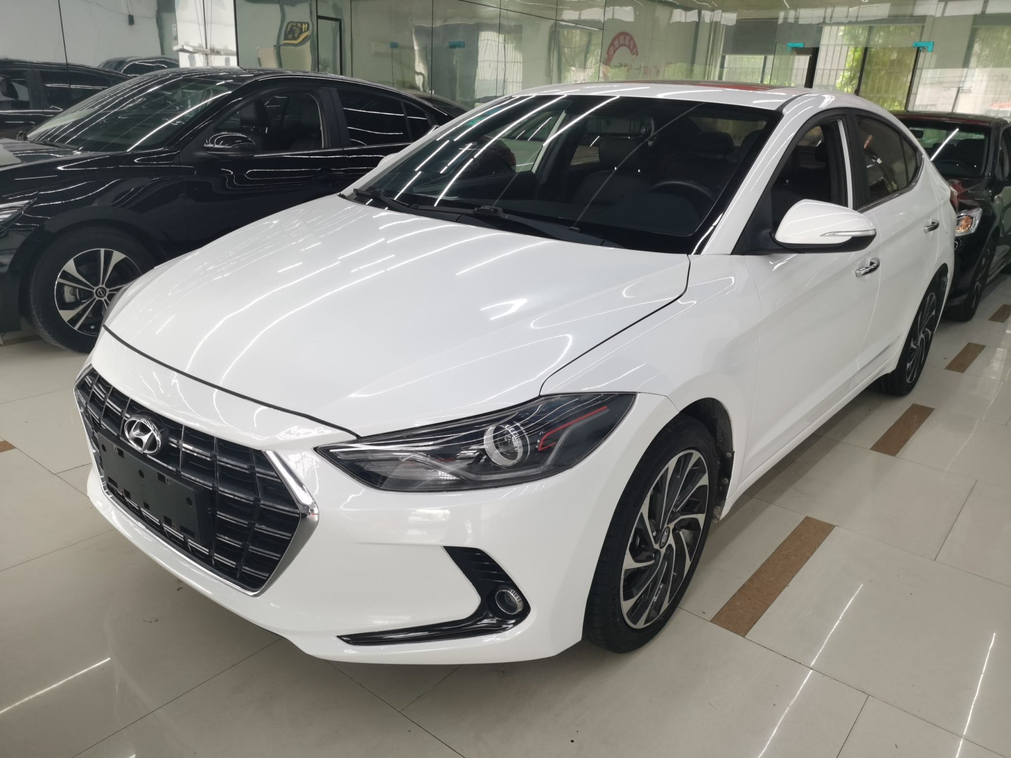 Parte inferior delantera