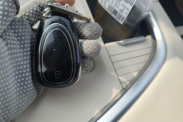 Used Wey Lanshan 2023 Four-Wheel Drive Ultra-Long Range Version
