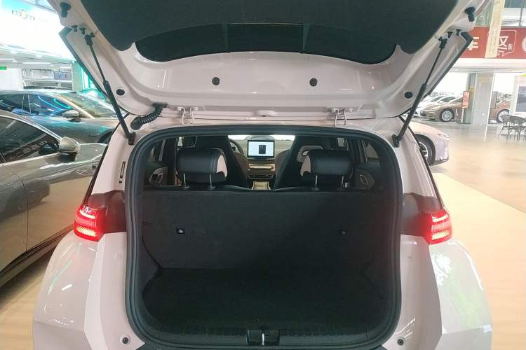 Used BYD Seagull 2025 305 km Free Version