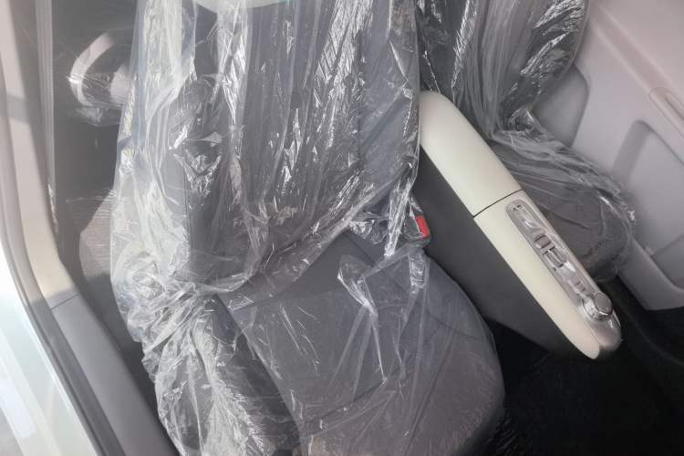 Used CHANGAN NEVO Lumin 2025 205 km Xiangqin Version Right Front Seat