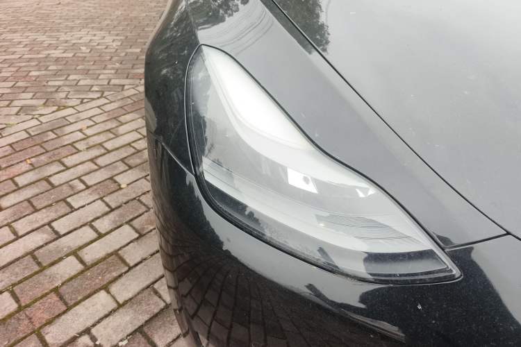 Used Tesla Model Y 2021 Standard Range Rear-Wheel Drive Version
