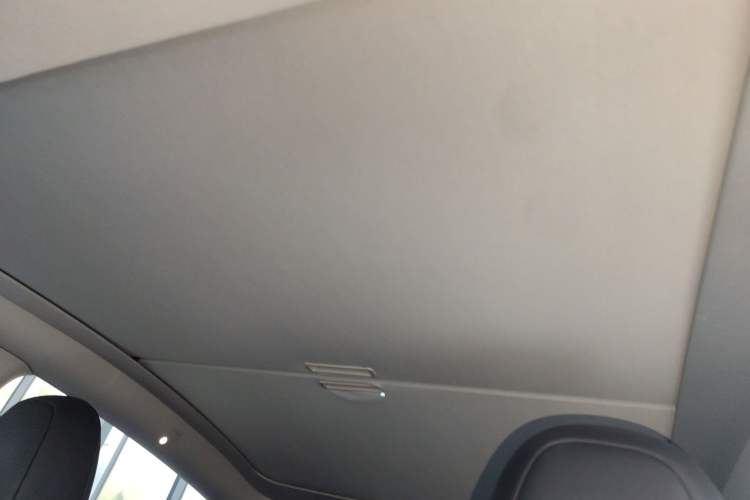 Used Tesla Model Y 2024 Rear-Wheel-Drive Version Headliner