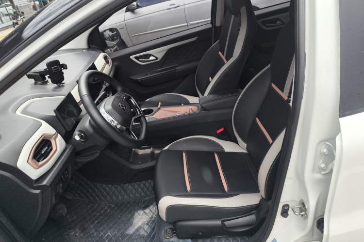 Used SOL E10X 2022 Flower Fairy Style Baby's Breath