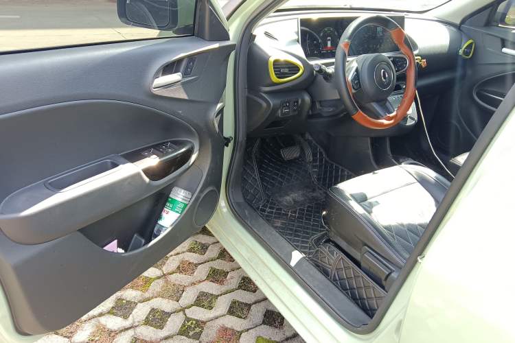 Used ORA White Cat 2020 305 km Luxury Version