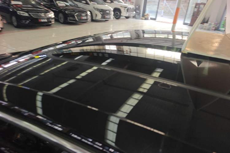 Used Volkswagen Magotan 2020 330TSI DSG Luxury Edition Roof